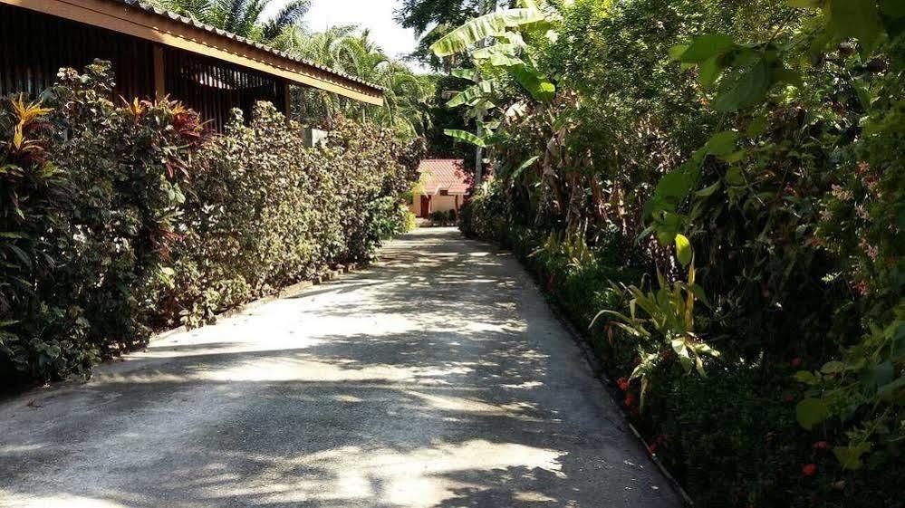 Subtawee Resort Surat Thani Extérieur photo